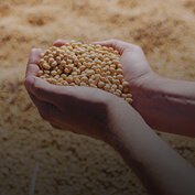 product-category-image