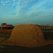 product-category-image